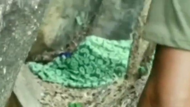 नर्मदापुरम: वाघ ने किया महिला का शिकार, ग्रामीणों में दहशत, लोगों ने की ये मांग