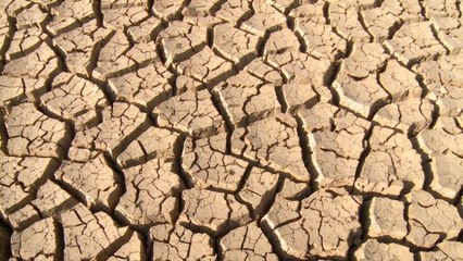 الجفاف يهدد المزروعات في 30 مقاطعة فرنسية