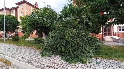 Une forte tempête et des précipitations torrentielles ont paralysé la vie à Osmancık