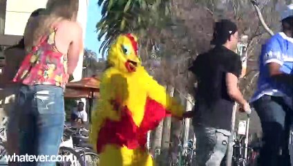 He Gets Her Number and...