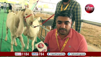 Rajasthan Kisan Mahotsav- मिलिए 9 करोड़ के युवराज और 11 लाख के शेरा से