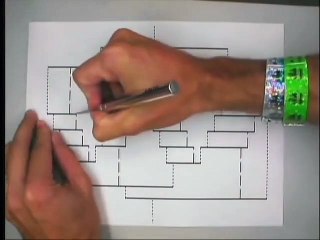 Amazing 3D Paper Design!