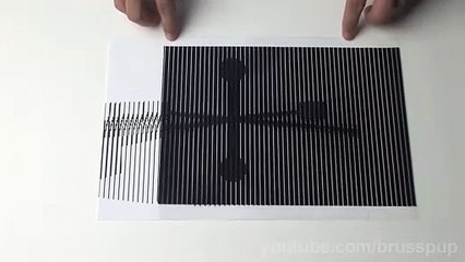 Amazing Animated Optical Illusions! #5