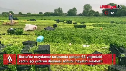 Maydonoz tarlasına yıldırım düştü! 63 yaşındaki işçi hayatını kaybetti