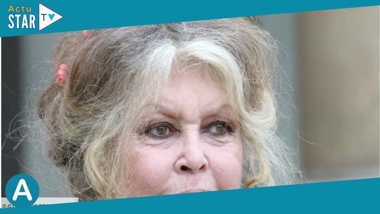 Brigitte Bardot regrette-t-elle ses propos polémique ? Pourquoi elle « ne demande pas pardon »