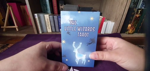 Présentation du "The Little Wizards Tarot de ‎@push-kitty (review)