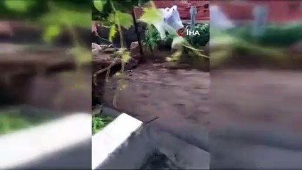 Une averse frappe Aliağa： Le ruisseau débordant a démoli le vieux pont