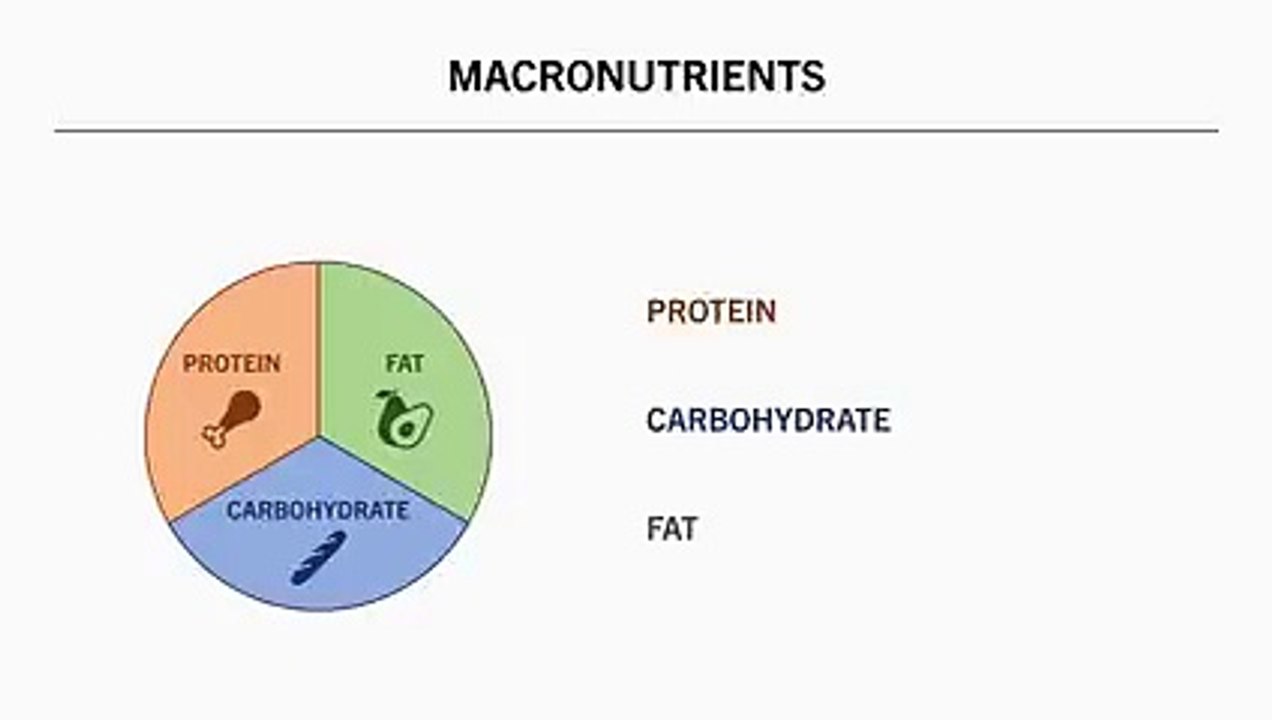 Complete Nutrition for Athletes