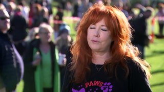 Dachshund enthusiasts set record for largest dog walk