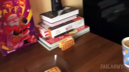 Instant Karma Fails Compilation   FailArmy