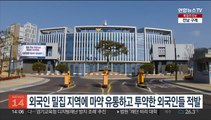 외국인 밀집지역에서 마약 유통·투약한 외국인들 무더기 적발