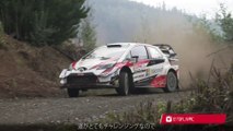 WRC (World Rally Championship)  2019 Rd.6 チリ ハイライト動画 TOYOTA GAZOO Racing 1/2  , World Drivers' Champion: Ott Tänak