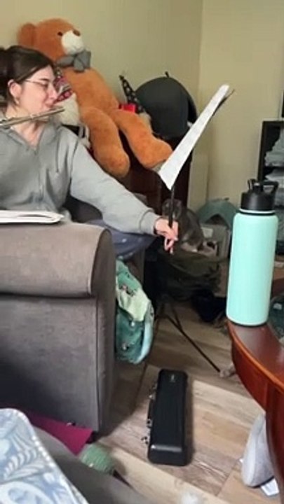 What It's Like to Play the Flute When You Have Cats
