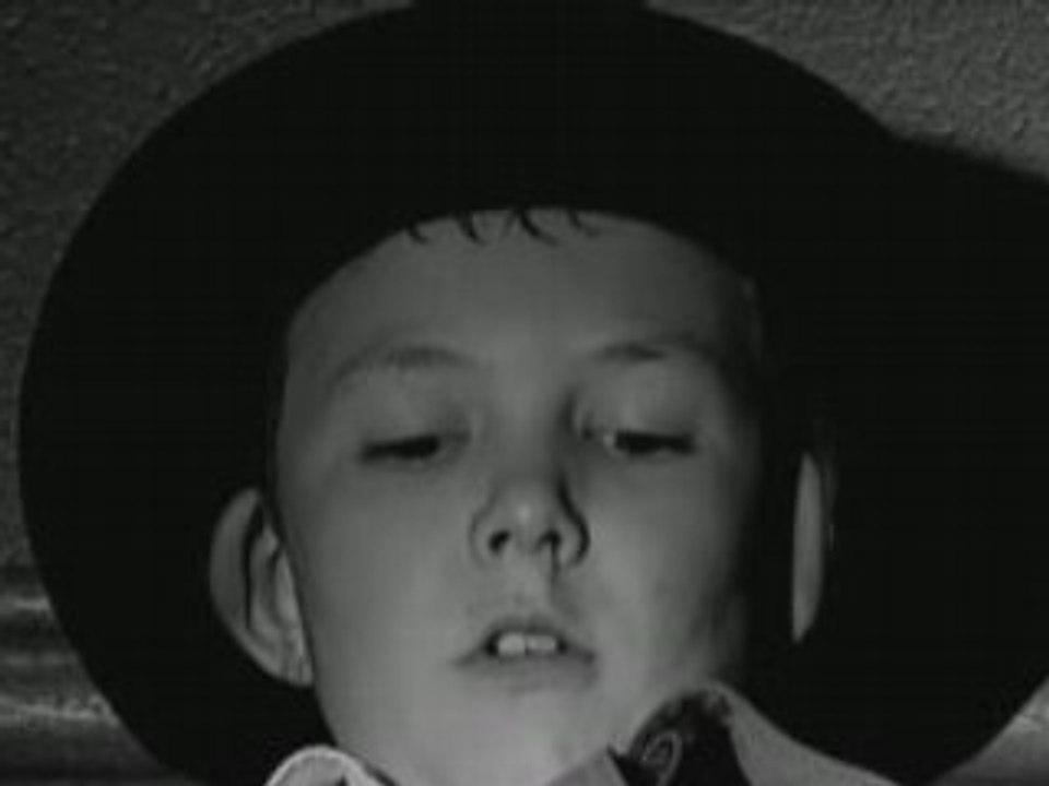 Dick Dobson P.I.