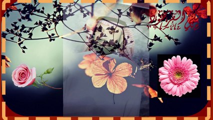 أجمل تلاوة صوتية لا تُنسى 🎶