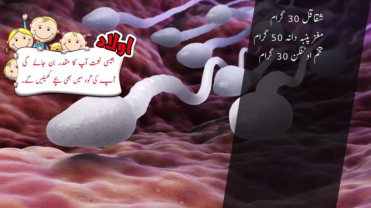 Mardana Kamzori ka Ilaj