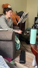 What It's Like to Play the Flute When You Have Cats