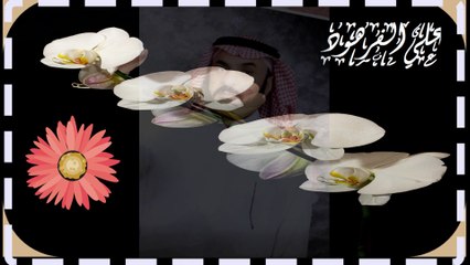 القران الكريم تلاوات بصوت جميل