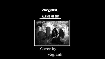 All cats are grey de THE CURE - Cover par Pascaline et Frank