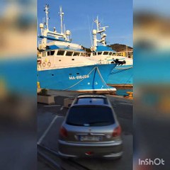 Vers Argeles sur Mer