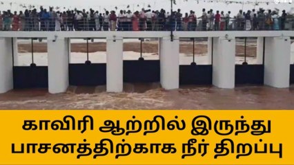 பாபநாசம்: காவிரி அரசலாறு தலைப்பிலிருந்து பாசனத்திற்கு தண்ணீர் திறப்பு