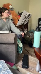 What It's Like to Play the Flute When You Have Cats