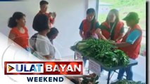 Pagtatayo ng community pantry para sa mga residenteng apektado ng Bulkang Mayon, pinaplano ng isang kongresista