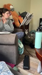 What It's Like to Play the Flute When You Have Cats