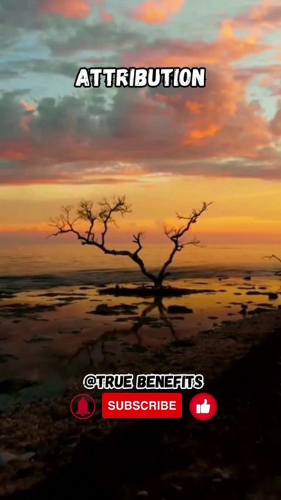 Attribution psychology facts that will blow your mind