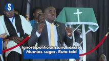 Ignore politicians and revive Mumias sugar, Ruto told