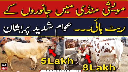 Maweshi Mandi Mein Janwaron Kay Rate High...  Awam Shadeed Pareshan