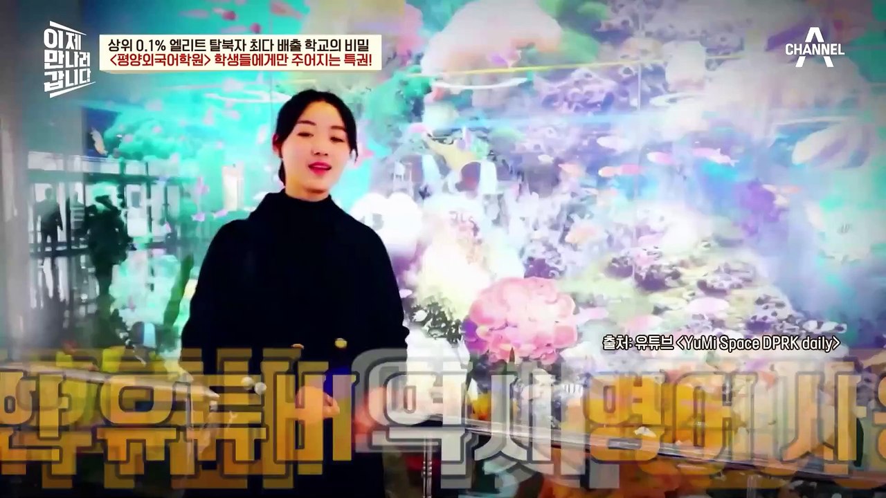 미제승냥이(?) 작품으로 영어 공부에 올인하는 北?! 평양외국어학원 학생들에게만 주어지는 특권!