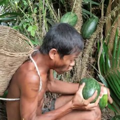 Catch Fish Cock Recipes Eating- Primitive Technology