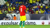 Brazil vs Guinea Highlights