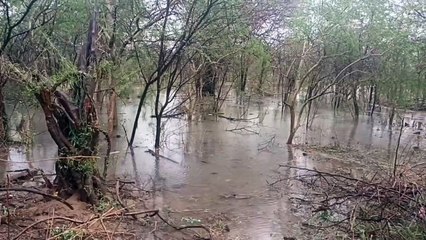 Weather Updates: रेत के समंदर में पानी के दरिया, जलमग्न हुईं ब​स्तियां