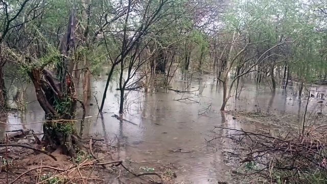 Weather Updates: रेत के समंदर में पानी के दरिया, जलमग्न हुईं ब​स्तियां