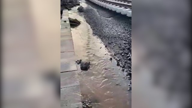 Hızlı tren faciadan döndü