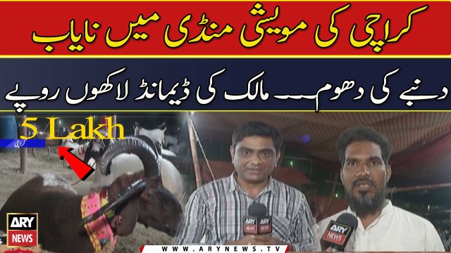 Karachi Maweshi Mandi Mai Nayab Dumba ki Dhoom...