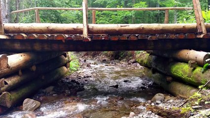 Tranquil River Flow: 1-Hour Relaxing Video with Serene Water Flowing Under a Wooden Bridge