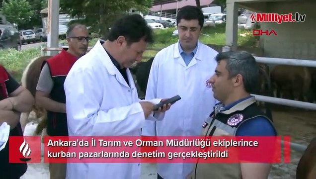 Ankara'da kurban pazarlarında denetleme