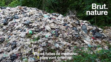 Ils fossilisent les déchets : l'idée de génie de cette entreprise du Maine-et-Loire (source Brut)