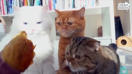 Looking back on 2020 with Lulu