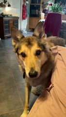 Je crois qu’il a quelque chose a me dire !