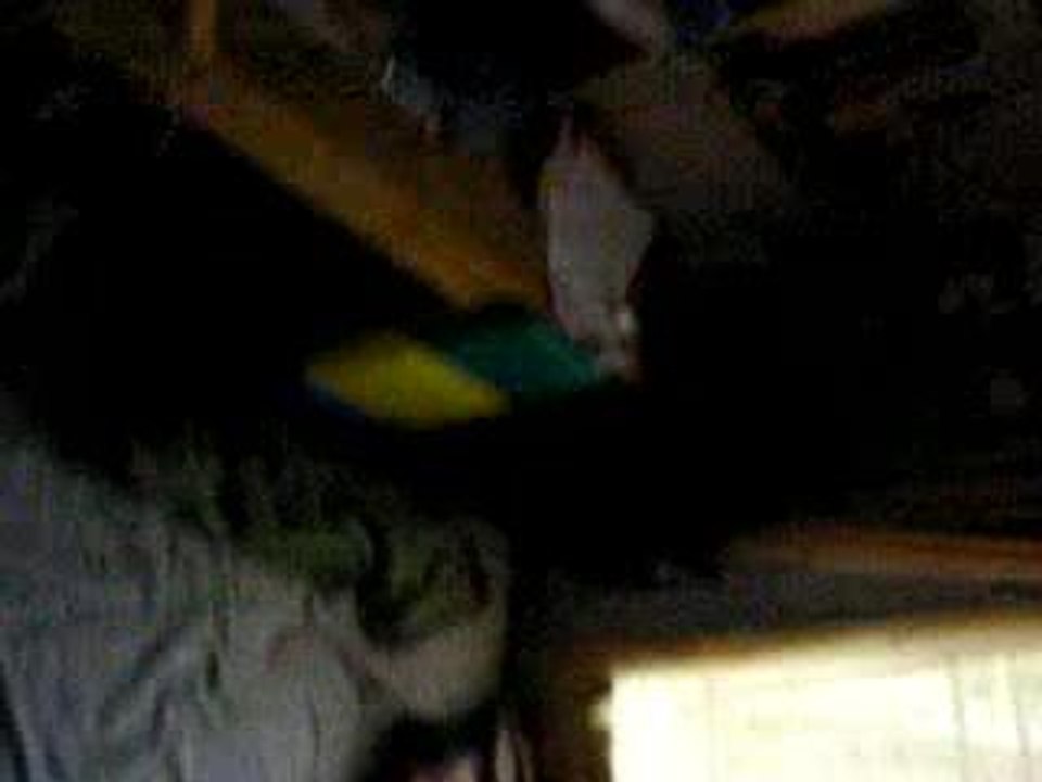 MVI_0376