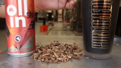 La Grilla, una cerveza mexicana a base de insectos como alternativa al cambio climático