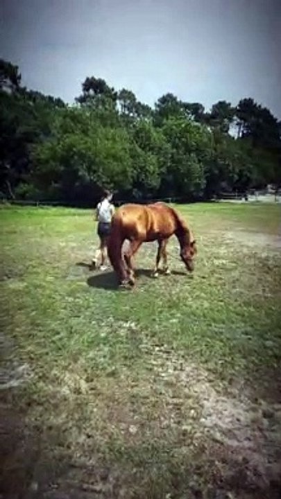 Laure Manaudou a partagé une vidéo de sa fille Manaudou.La fille de Laure Manaudou et Frédérick Boursquet avec son cheval sur Instagram, ce dimanche 18 juin 2023.© Instagram / lauremanaudouoff