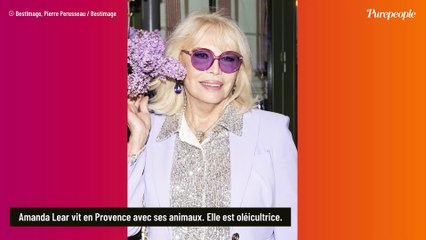 "Je mourrai là-bas" : Amanda Lear se confie sur son coin de paradis, en Provence, où elle vit seule avec ses chats