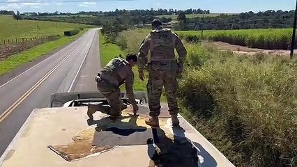 PRF apreende quase três toneladas de maconha no Paraná; veja