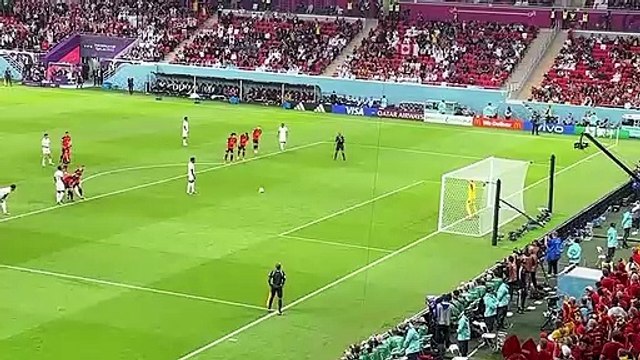 Belgium vs Austria 1 x 1 All Goals & Extended Highlights EURO 2024 Championship Qualifying