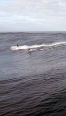 Dylan Longbottom's big wave wipeout | June 19, 2023 | Illawarra Mercury